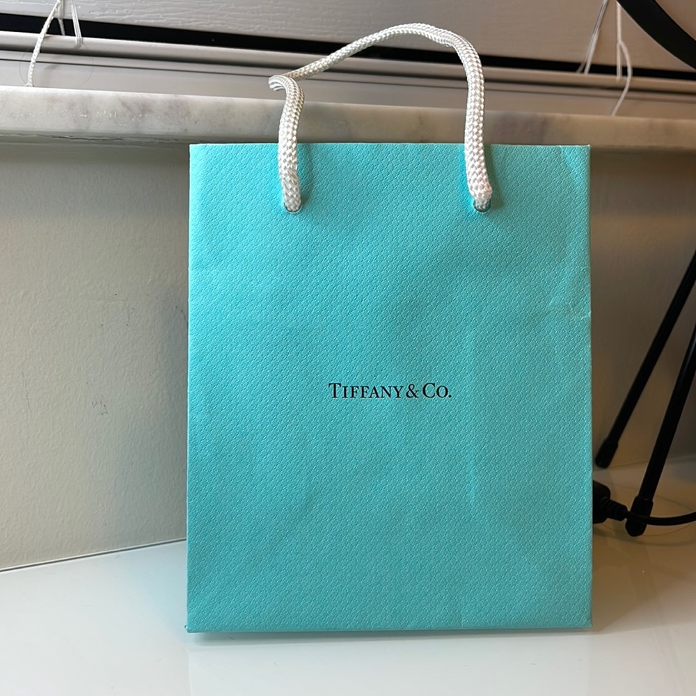 Tiffany and Co Shopping Bag